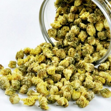 药用菊花罐装