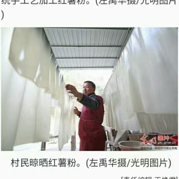 红薯粉丝散装