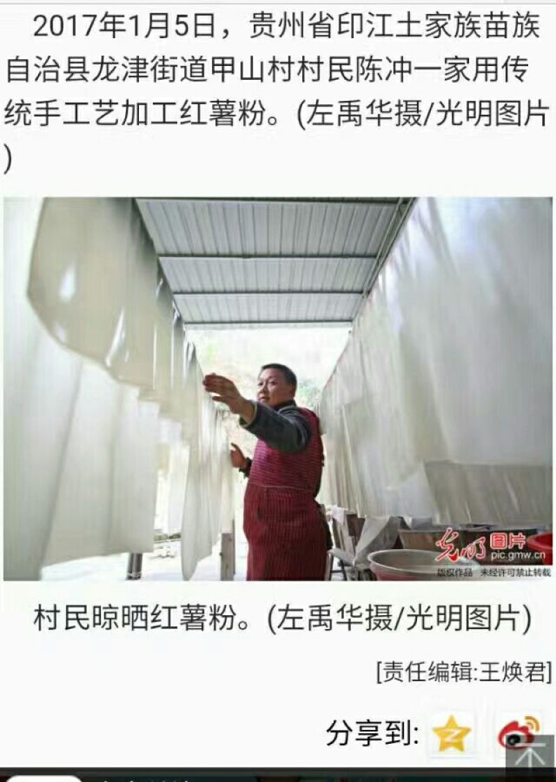 红薯粉丝散装