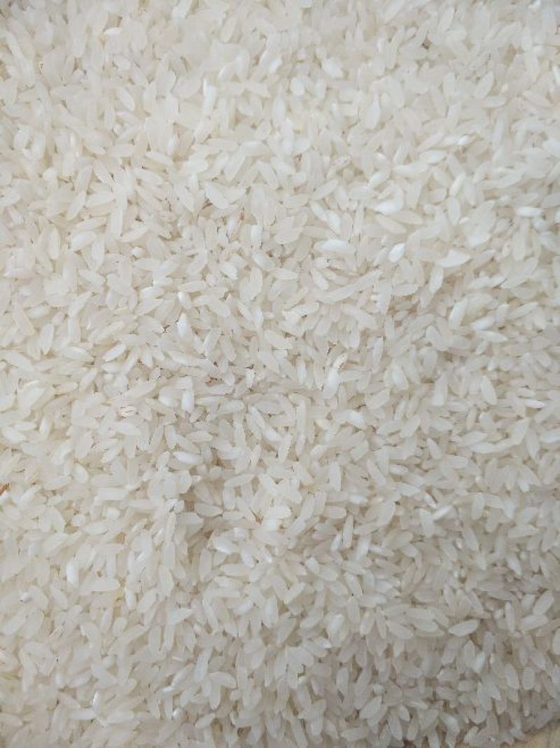 大米新米一级