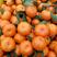 广西南丰蜜橘大量上市,皮薄多汁化渣，质优价廉诚信经营