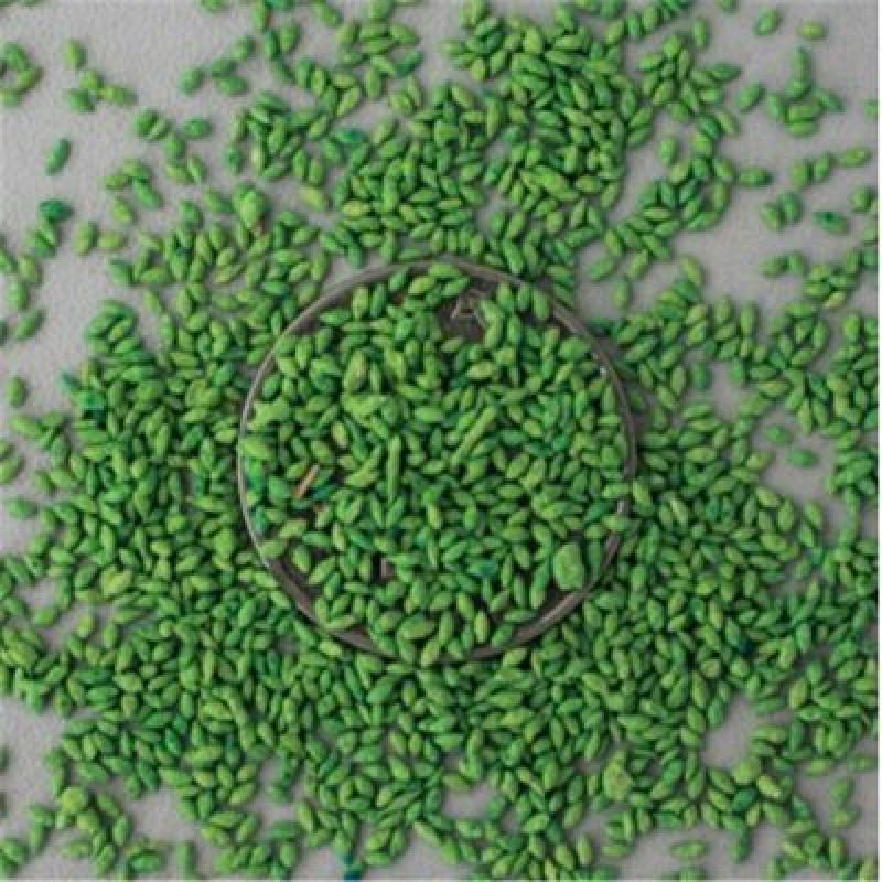 狗牙根种子多年生25克/平方热季型