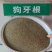 狗牙根种子多年生25克/平方热季型