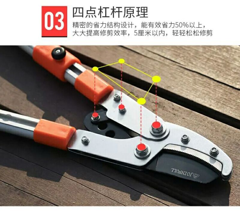 高枝剪园艺枝剪粗枝剪