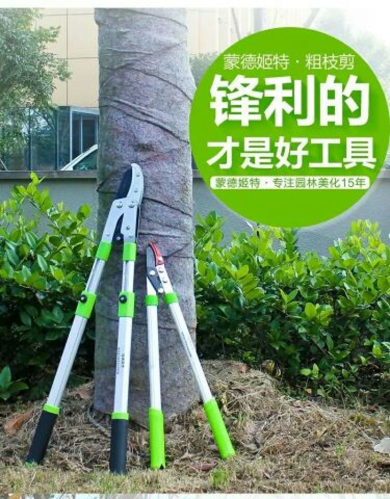 高枝剪园艺枝剪粗枝剪
