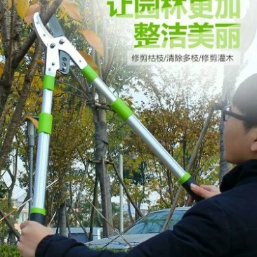 高枝剪园艺枝剪粗枝剪