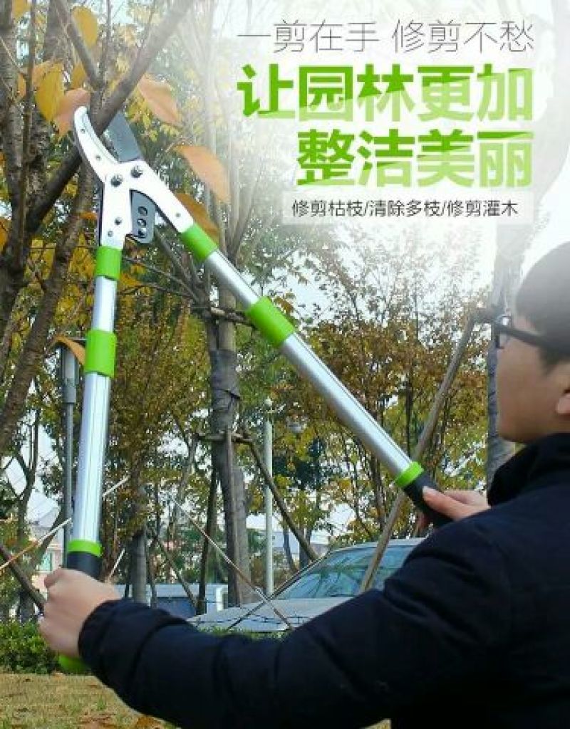 高枝剪园艺枝剪粗枝剪