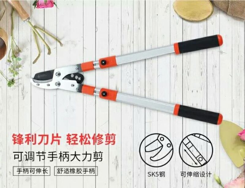 高枝剪园艺枝剪粗枝剪