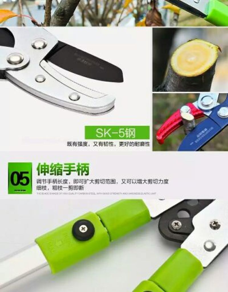 高枝剪园艺枝剪粗枝剪
