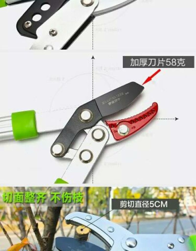 高枝剪园艺枝剪粗枝剪