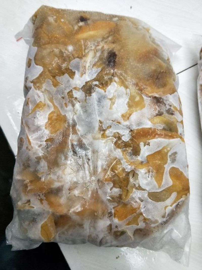 河蚌