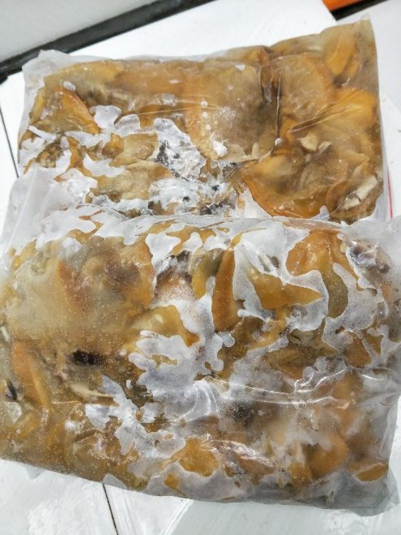 河蚌