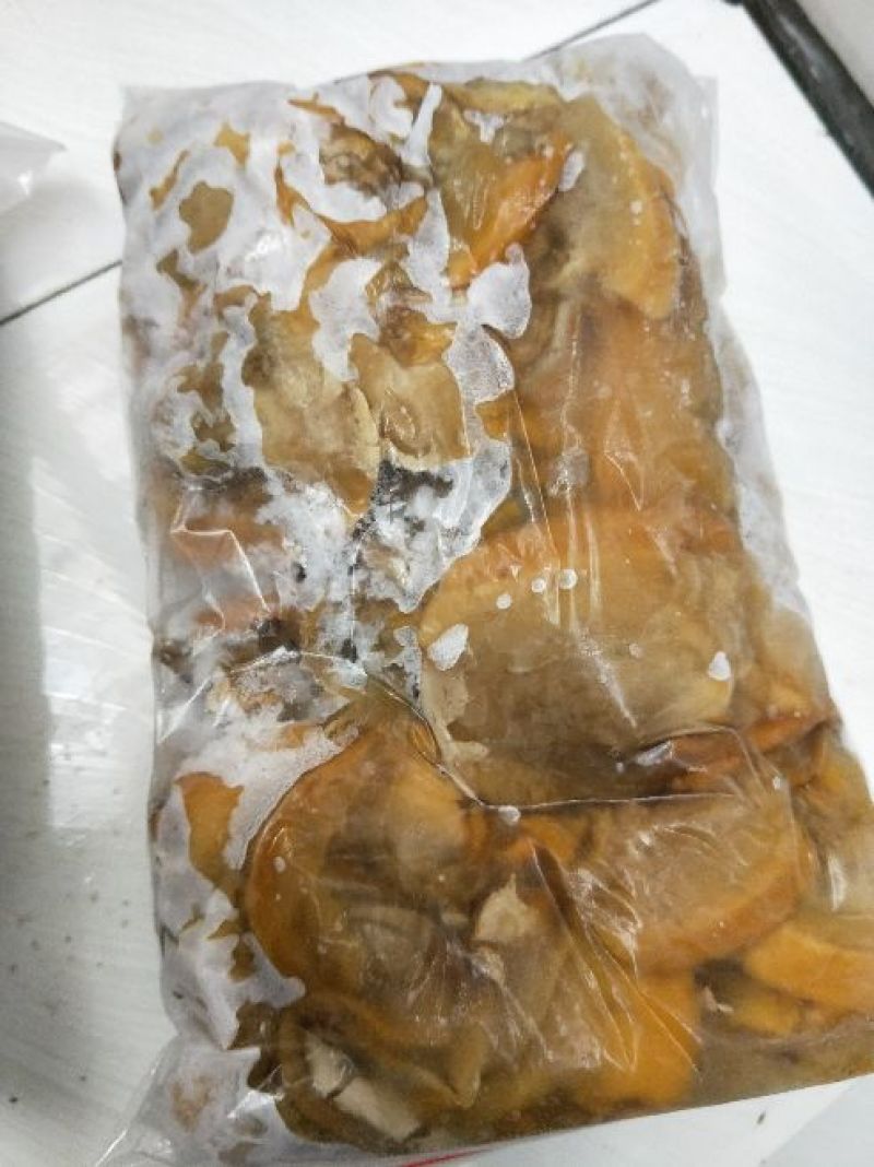河蚌