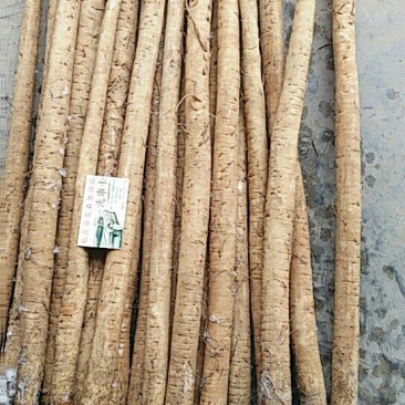 常年供应基地牛蒡，保证残留不超标