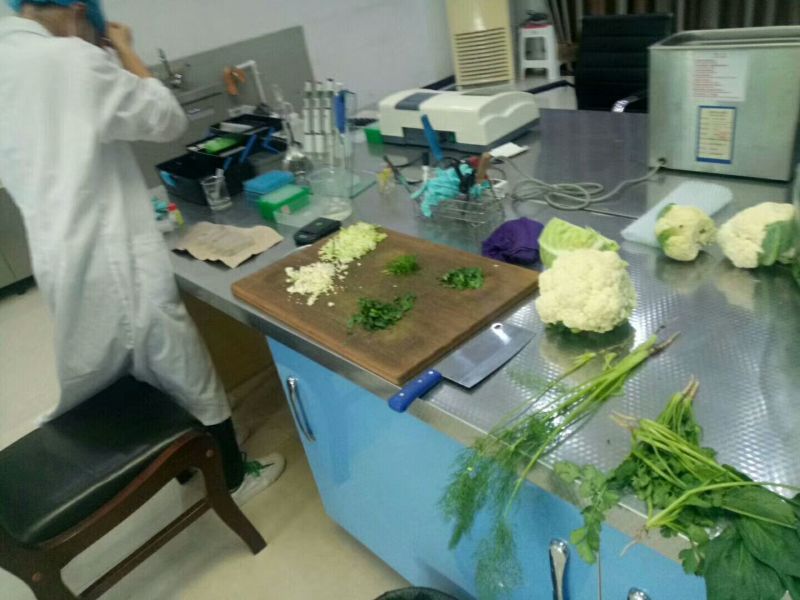 尖椒15~20厘米中辣，常年大量有货，代卖代购辣椒类