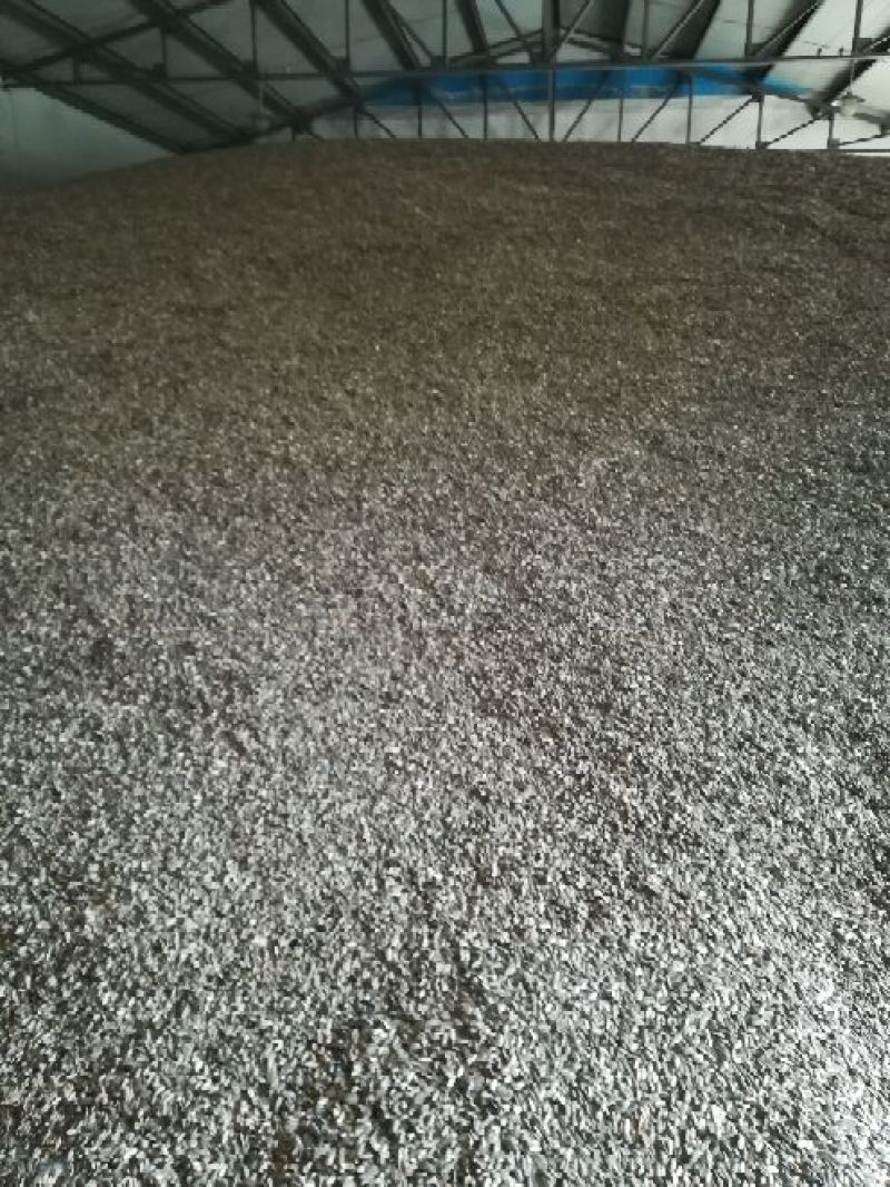 食葵150~200cm