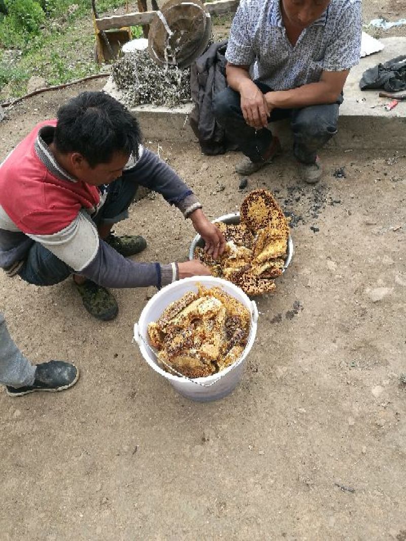 中蜂平箱装