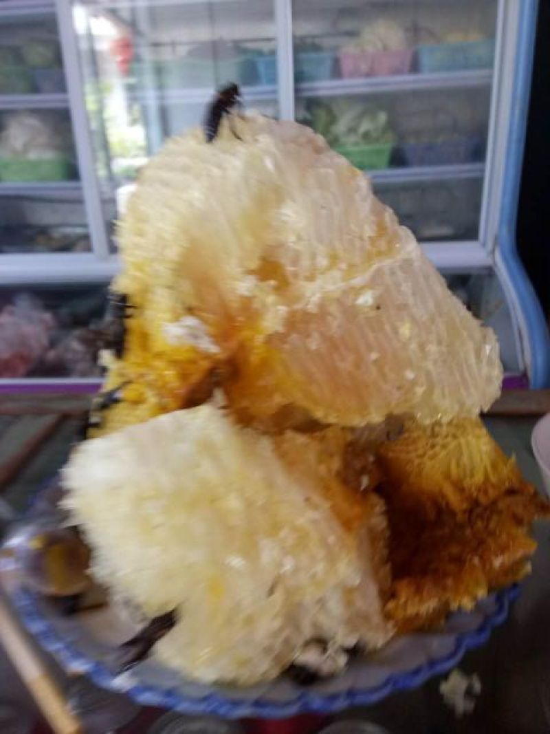 中蜂平箱装