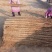 九斤黄山药4~6厘米特级手捡70~90厘米