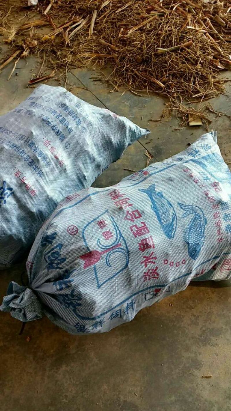 南姜鲜货，现挖现发，质量很好。