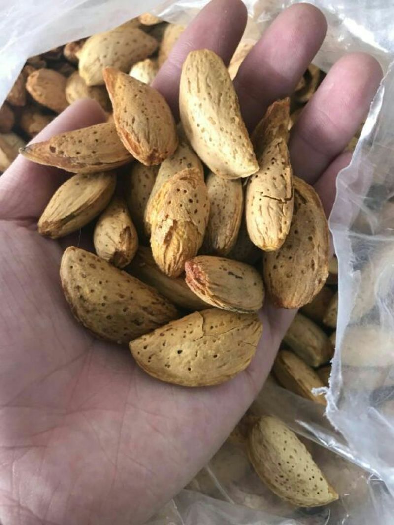 巴旦木年货莎车奶油味