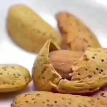 巴旦木年货莎车奶油味