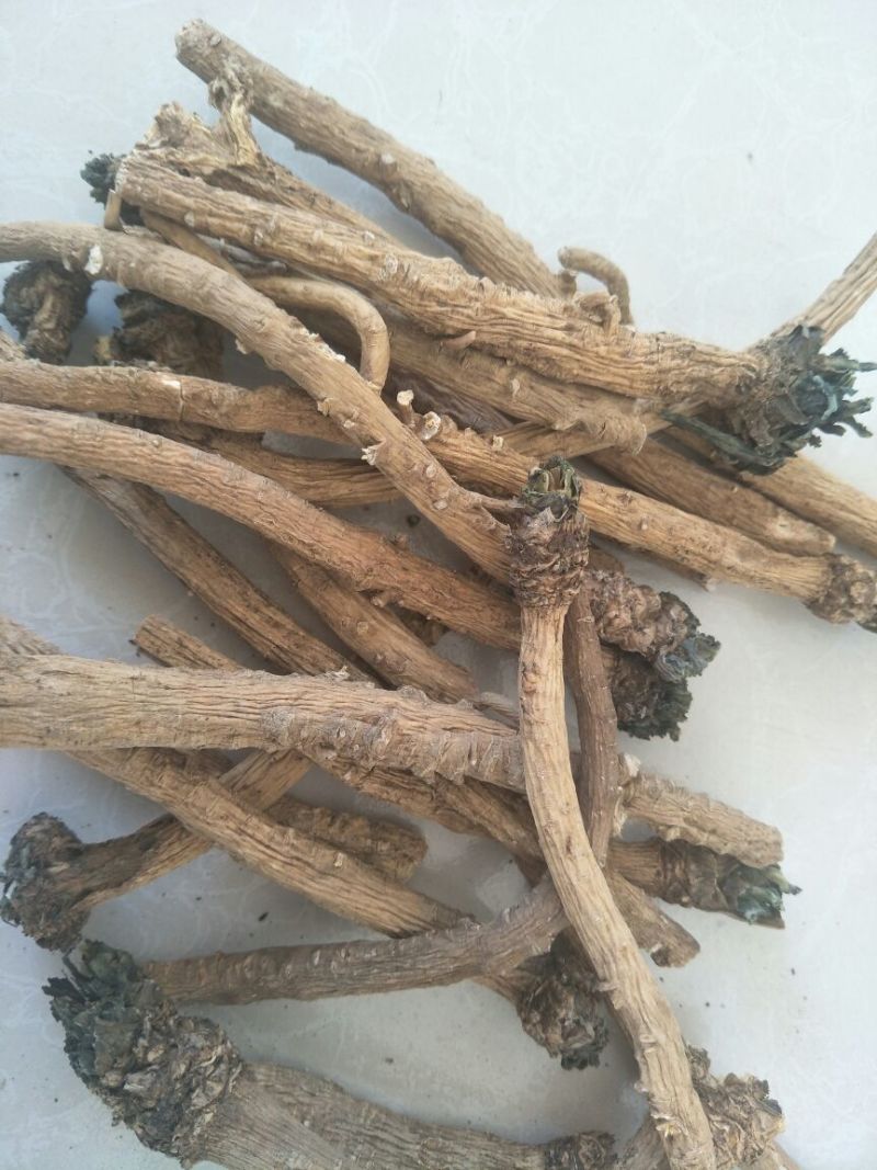 板蓝根统个