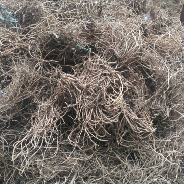 白薇质量好需要的老板联系我