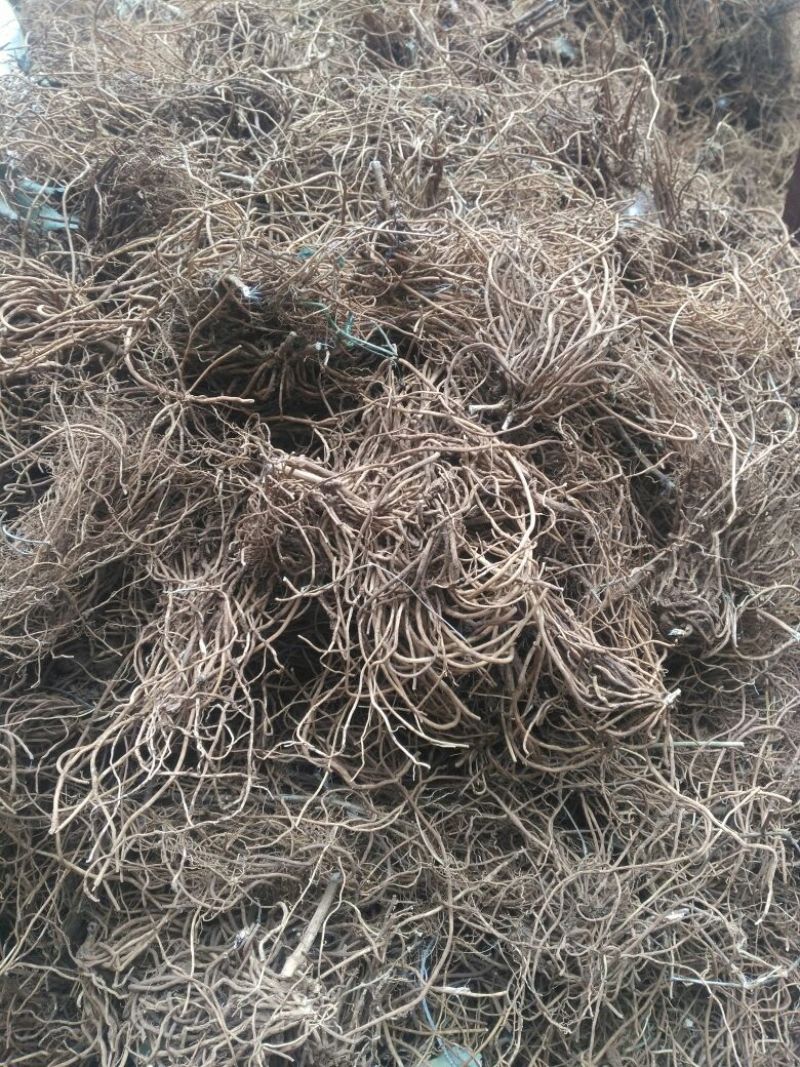 白薇质量好需要的老板联系我