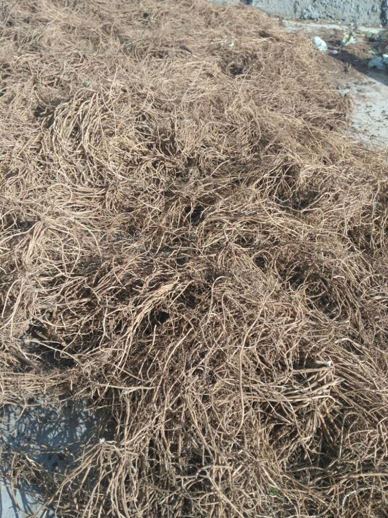 白薇质量好需要的老板联系我