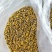 野菊花散装