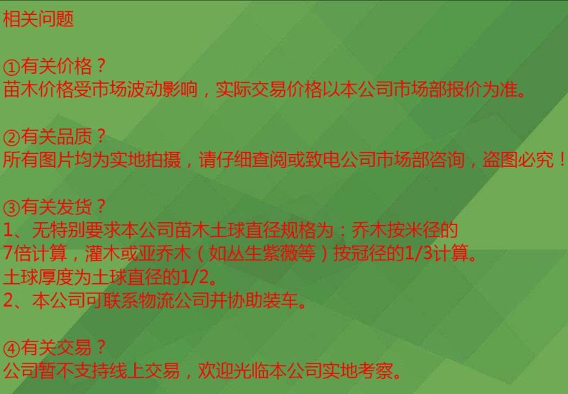 紫薇2~3米8~10cm2.5~3米