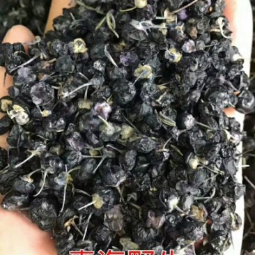 【热销】黑枸杞头茬干货纯野生大果产地发货