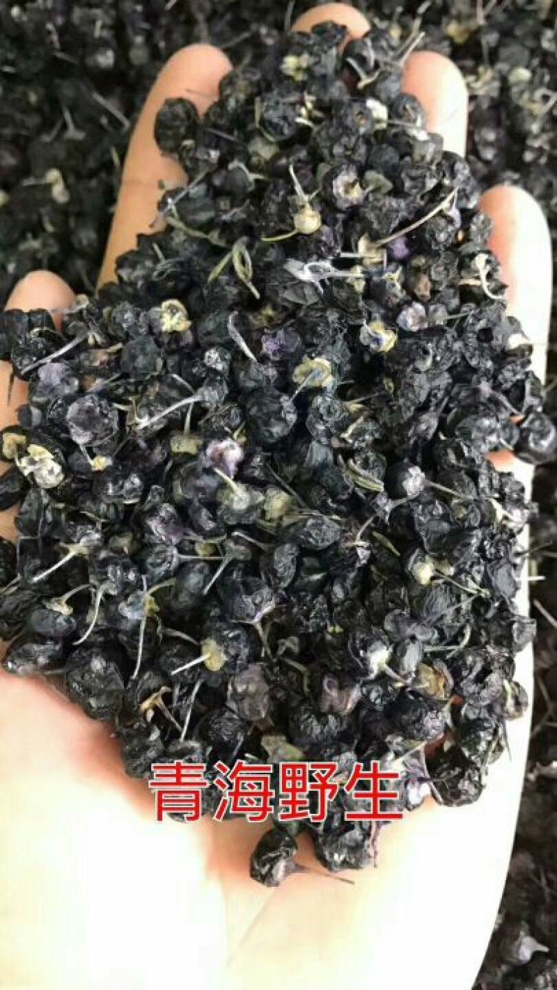 【热销】黑枸杞头茬干货纯野生大果产地发货
