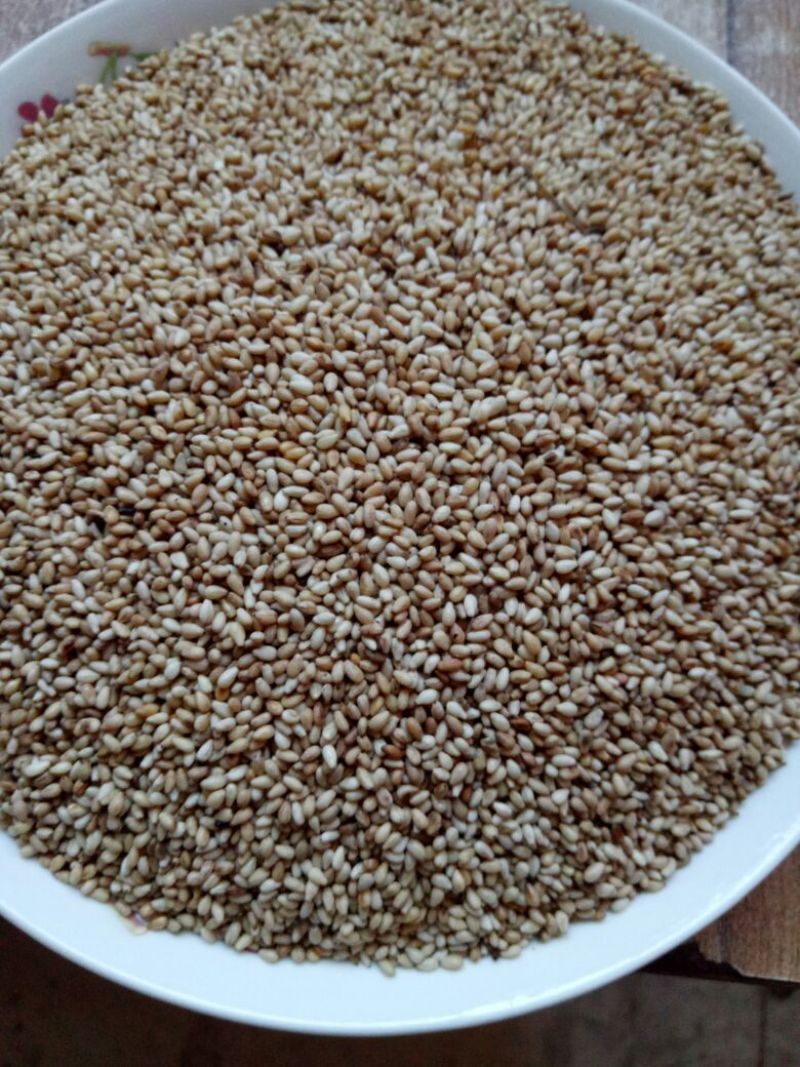 冀9104芝麻炒好的熟芝麻。