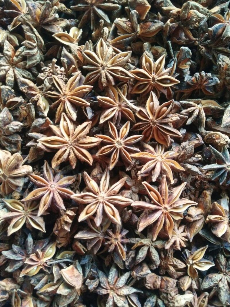广西精品水烫八角，足干，味道好，免费打粉