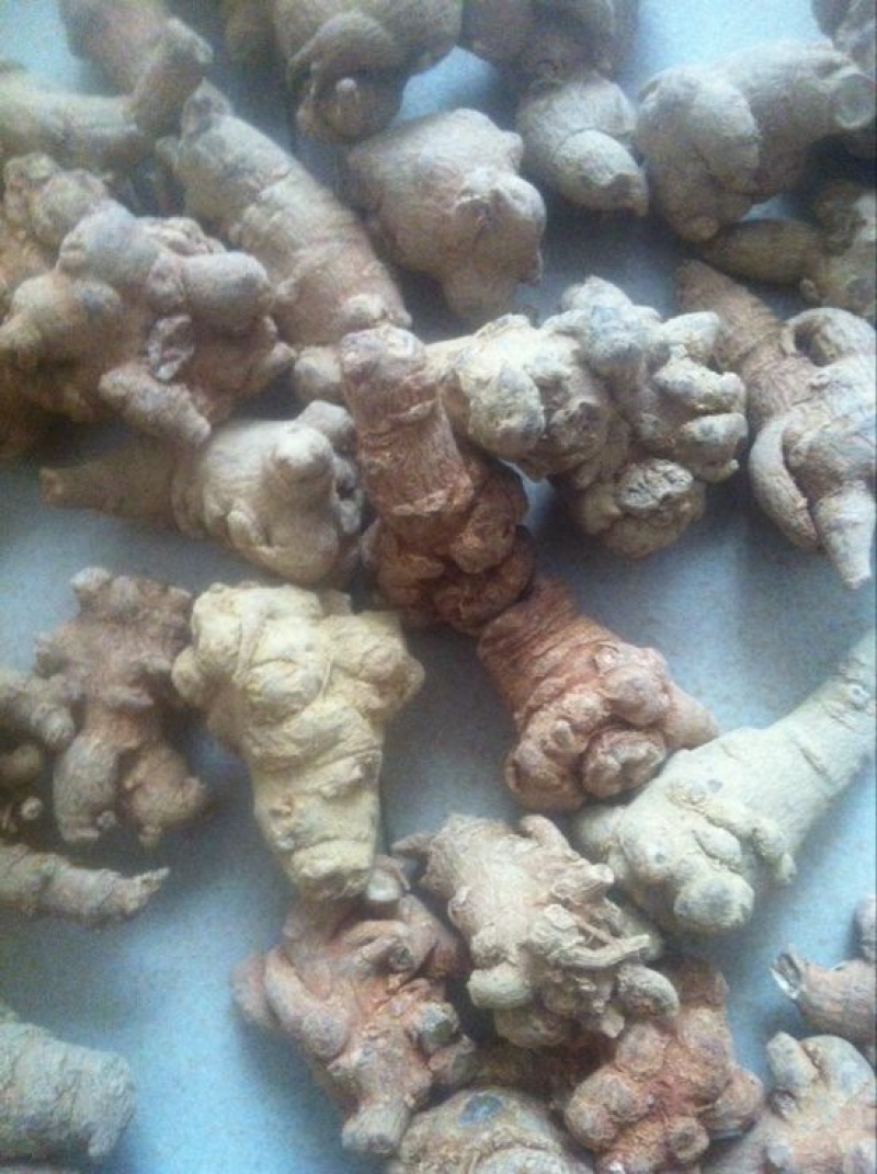红三七80头统货干货