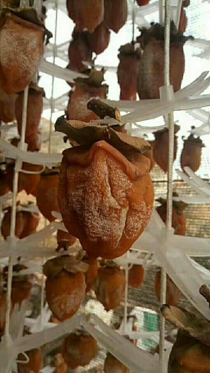 柿饼1~2两