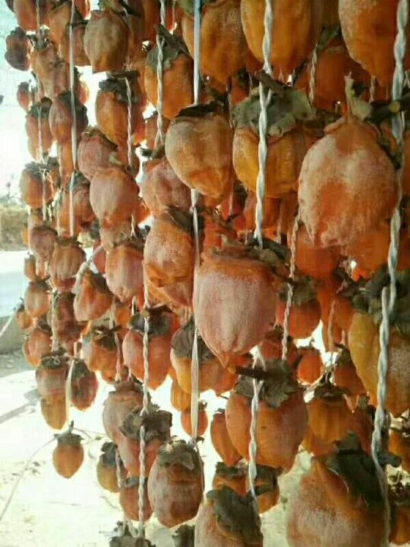 柿饼1~2两