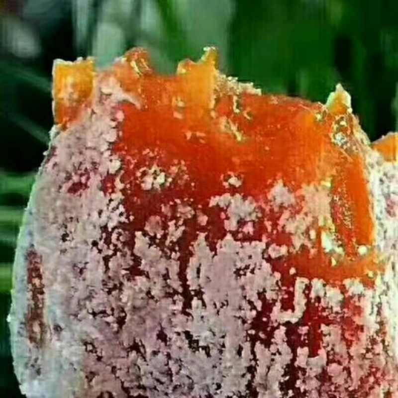 柿饼1~2两