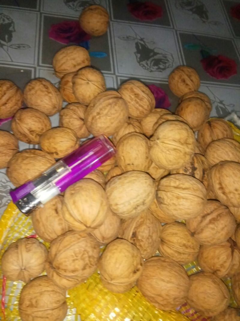纸皮核桃30mm以上去皮干