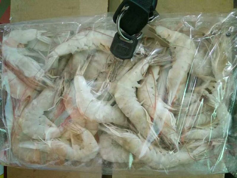 南美白对虾食用冻虾