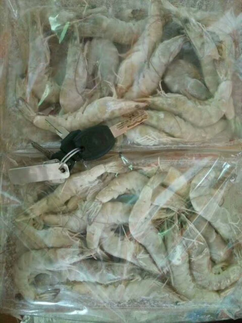 南美白对虾食用冻虾