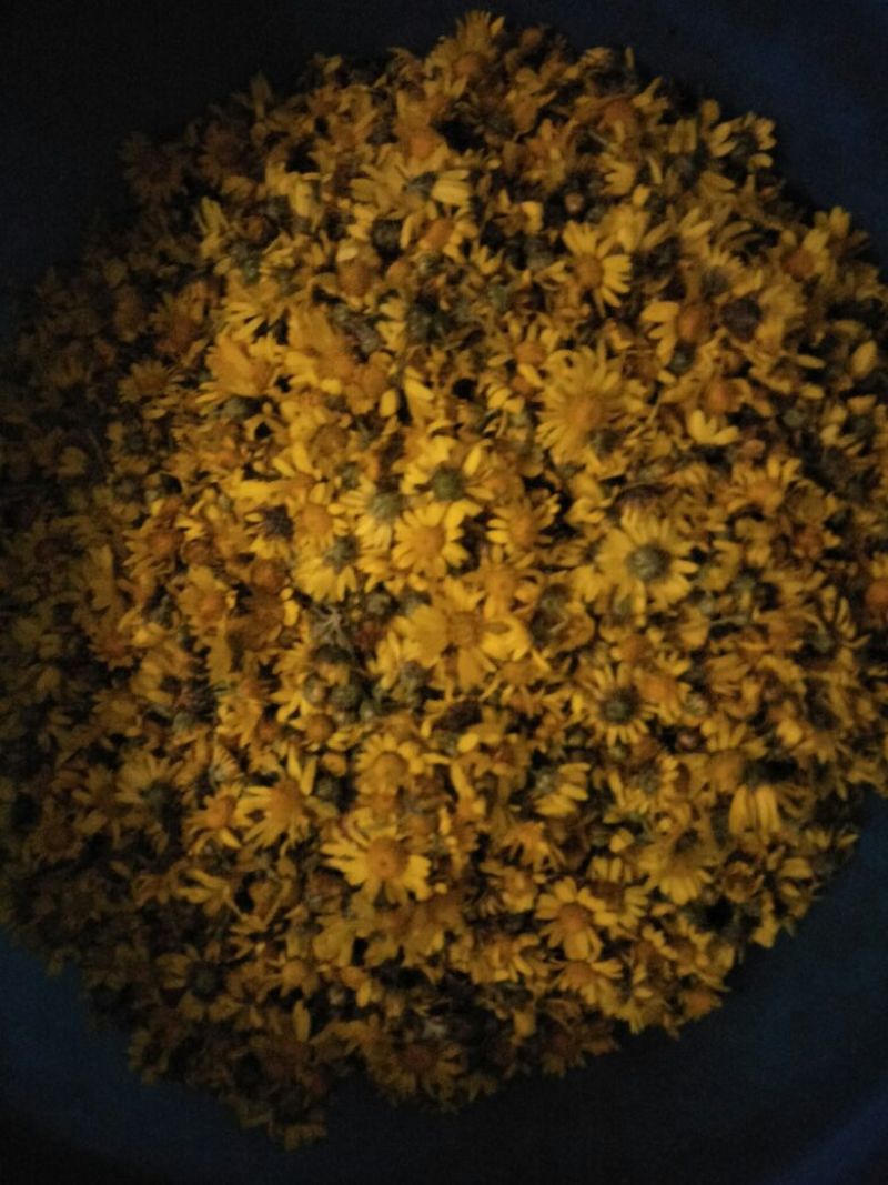 野菊花散装