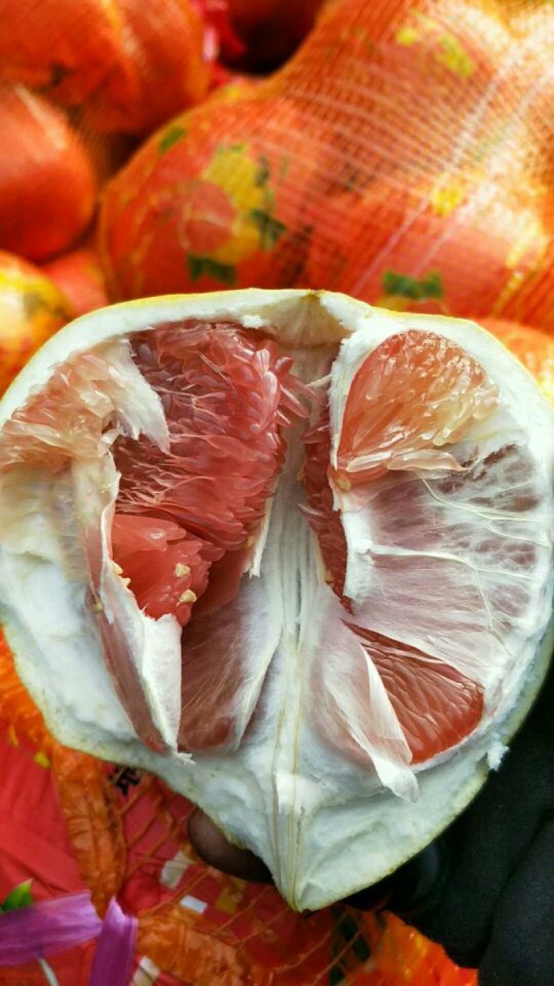 砂糖橘每天新货量百吨，质量保障，各种级别都有