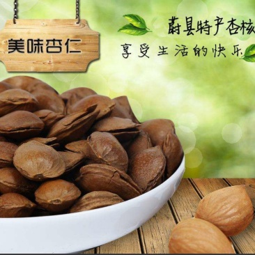 杏核甜核