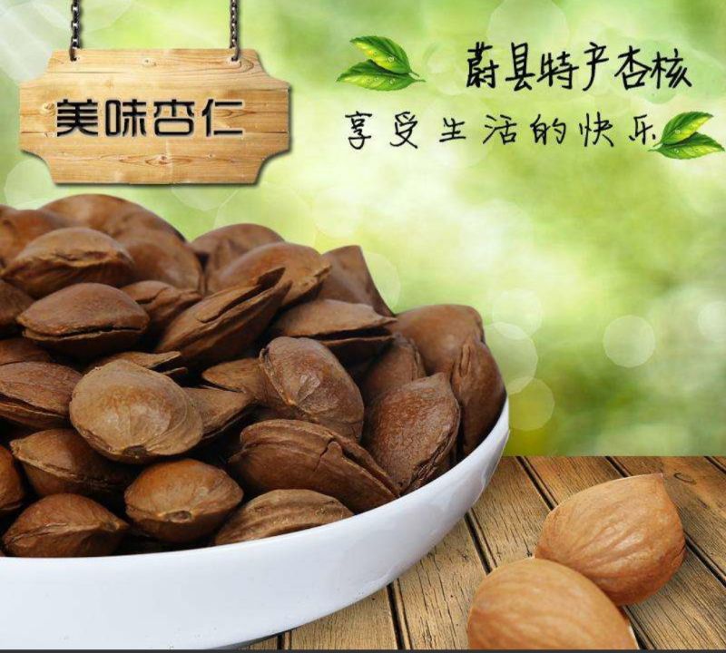 杏核甜核