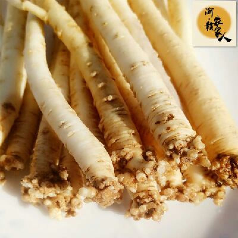 党参鲜货大条优质
