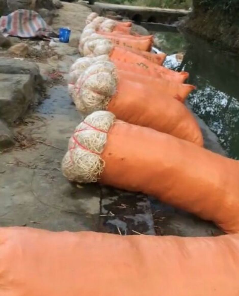 鱼腥草包装袋