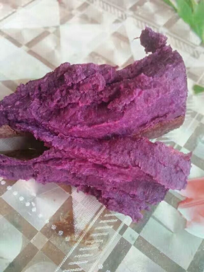 紫薯苗25~35cm品种比较多，有紫罗兰，日本凌紫，等